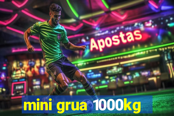 mini grua 1000kg